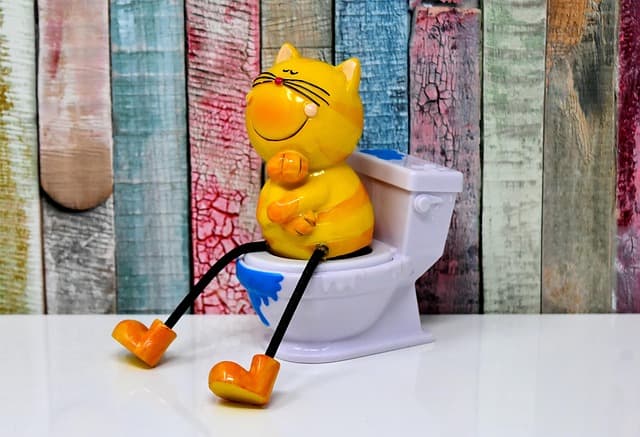 タイのトイレの使い方を解説！ウォーターガンとトイレットペーパーの流し方も