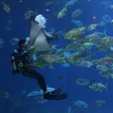 バンコク　水族館　行き方