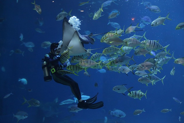 バンコクの水族館の入場料や所要時間を解説！口コミから当日券・レストラン情報も